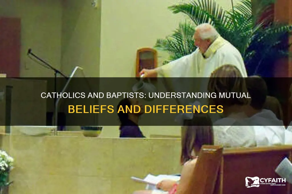 what do catholics think of baptist