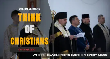 Catholics and Christians: Understanding the Shared Faith and Unique Perspectives