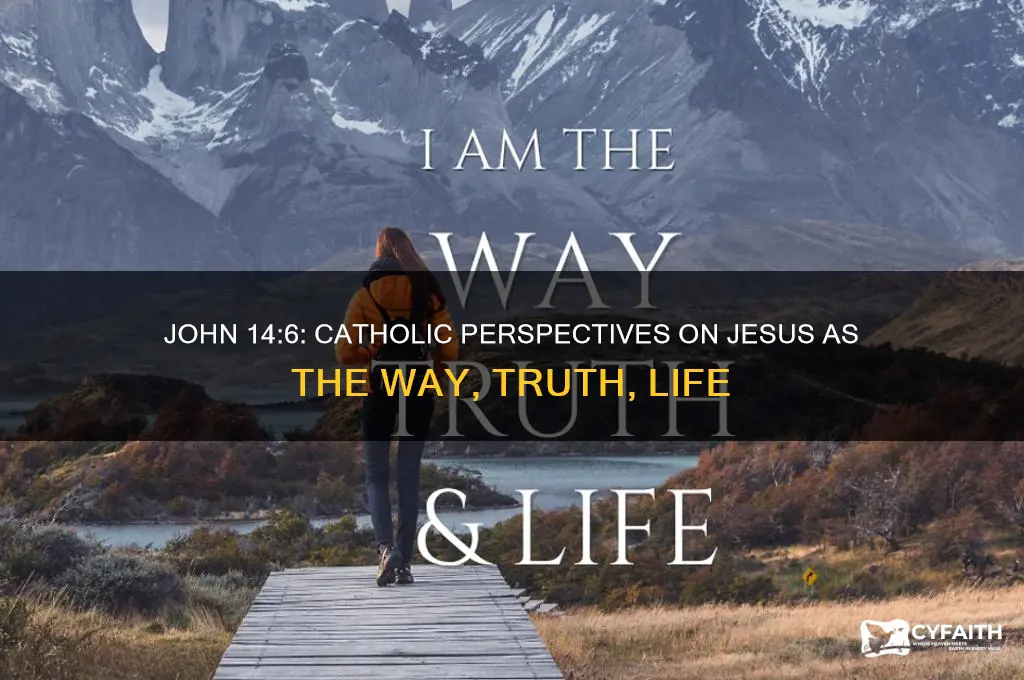 what do catholics think of john 14 6