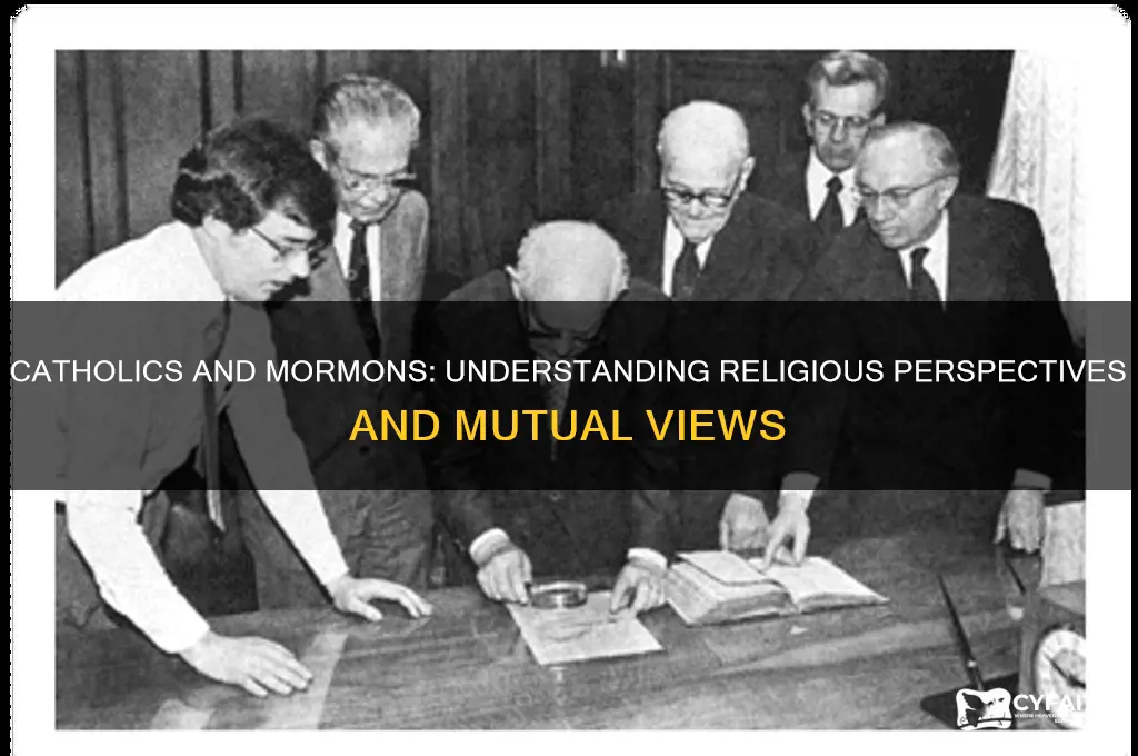 what do catholics think of mormons