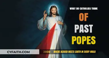 Catholic Perspectives on Past Popes: Legacy, Influence, and Reflection