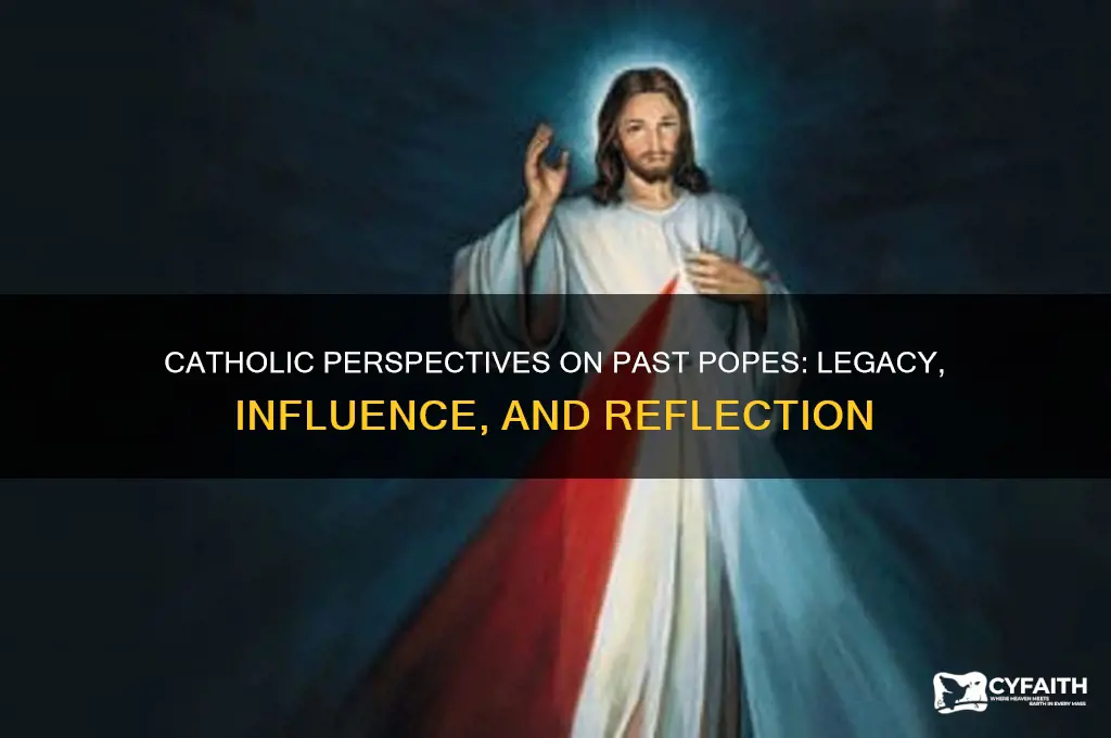 what do catholics think of past popes