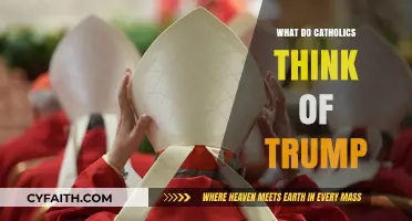 Catholics and Trump: Divergent Views on Faith, Politics, and Leadership