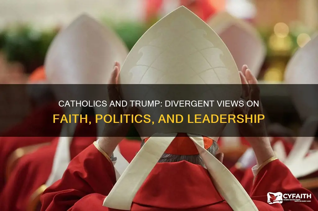 what do catholics think of trump