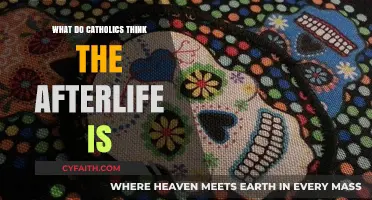 Understanding the Catholic Vision of the Afterlife: Beliefs and Teachings