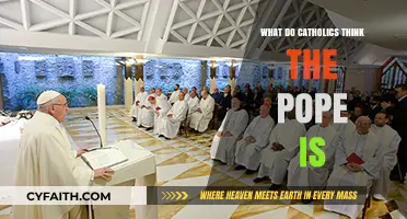 Understanding the Pope's Role: Catholic Beliefs and Perspectives Explained