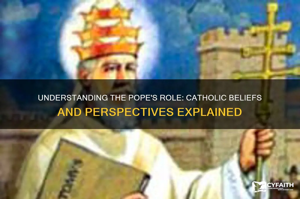 what do catholics think the pope is