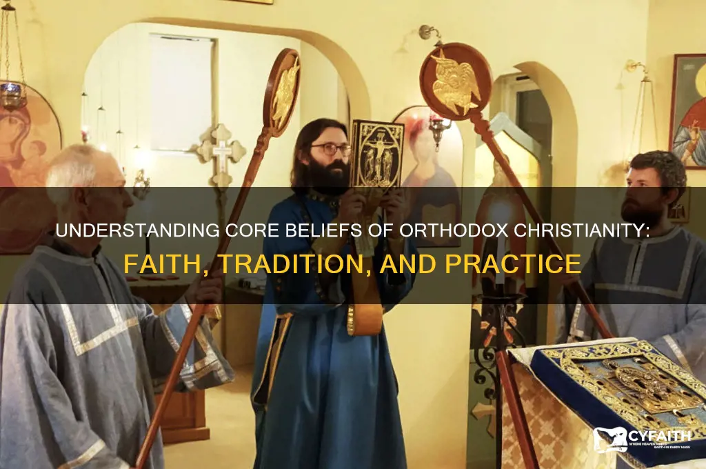 what do christans orthodox belvie