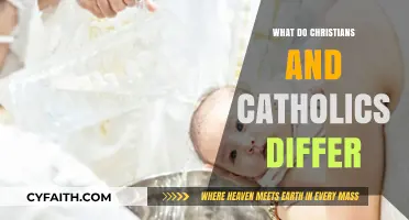 Christianity vs. Catholicism: Key Differences in Beliefs and Practices Explained