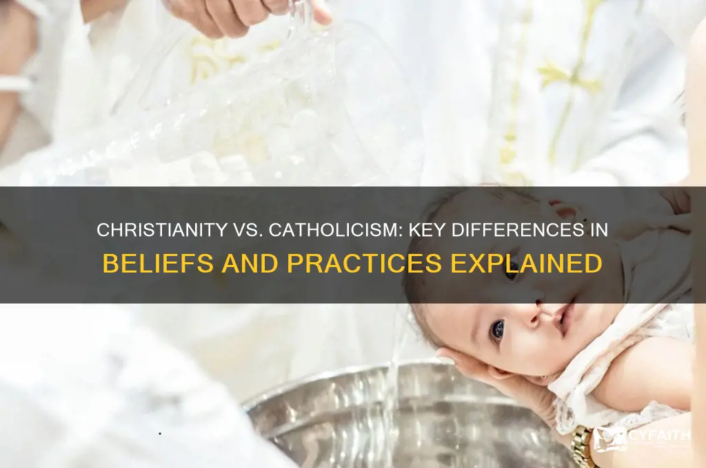 what do christians and catholics differ