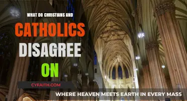 Key Theological Differences Between Christians and Catholics Explained