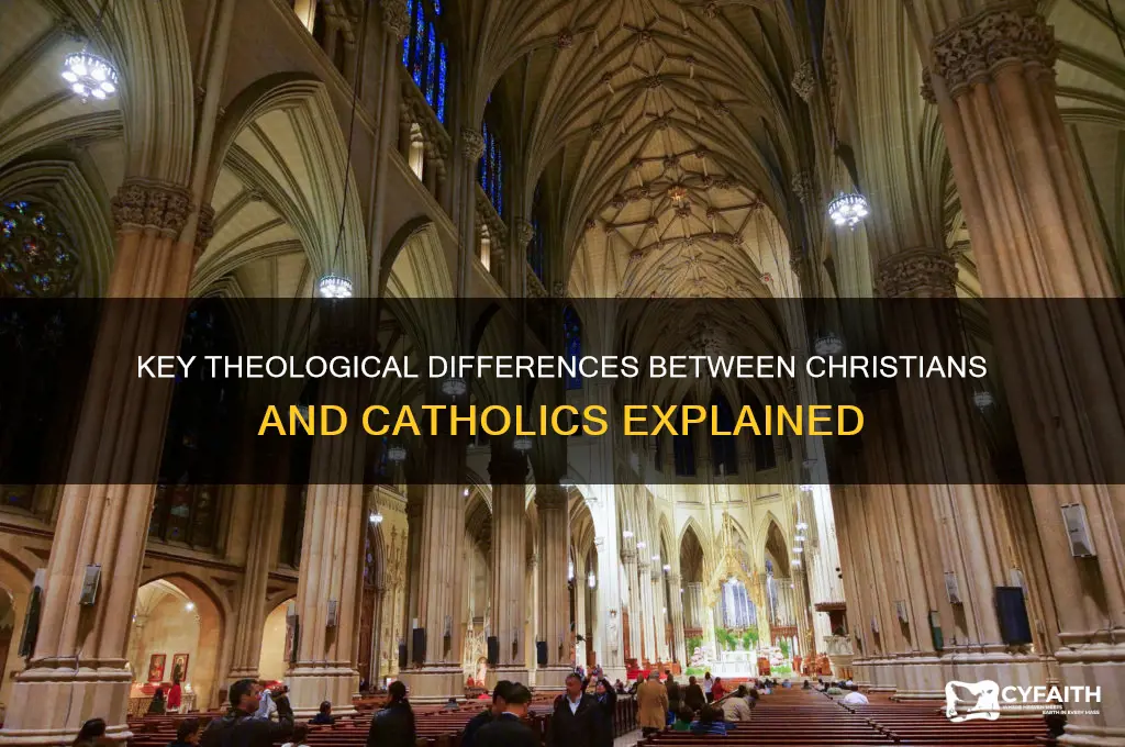 what do christians and catholics disagree on