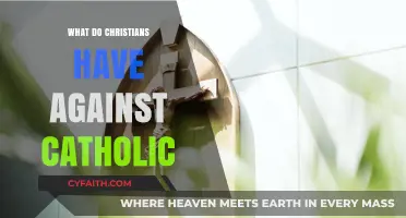 Understanding Christian-Catholic Tensions: Historical and Doctrinal Differences Explored