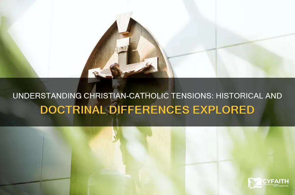 what do christians have against catholic