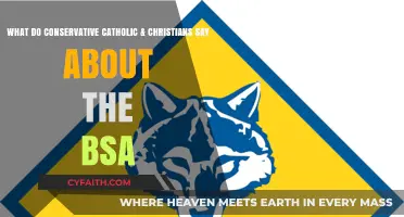 Conservative Catholics & Christians Critique BSA's Shifting Values and Policies