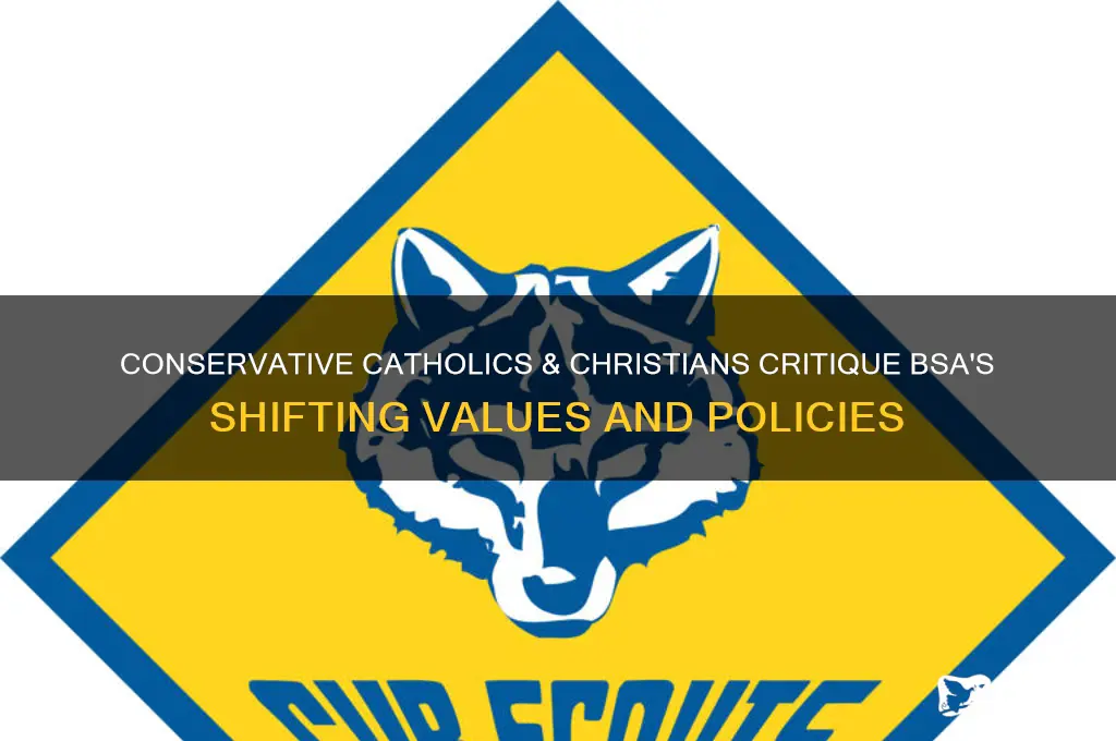 what do conservative catholic & christians say about the bsa
