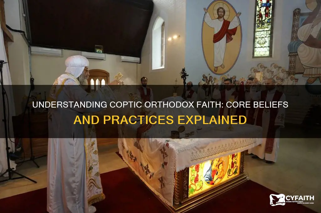 what do coptic orthodox believe