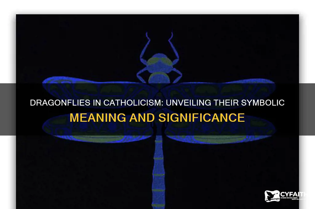 what do dragonflies signify in the catholic religion