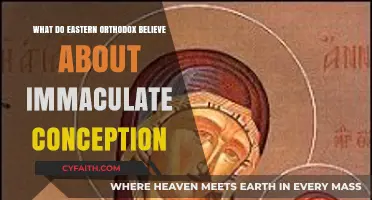 Eastern Orthodox Perspective on Immaculate Conception: Doctrine and Tradition