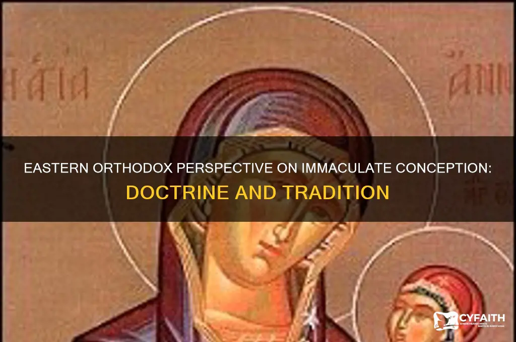 what do eastern orthodox believe about immaculate conception
