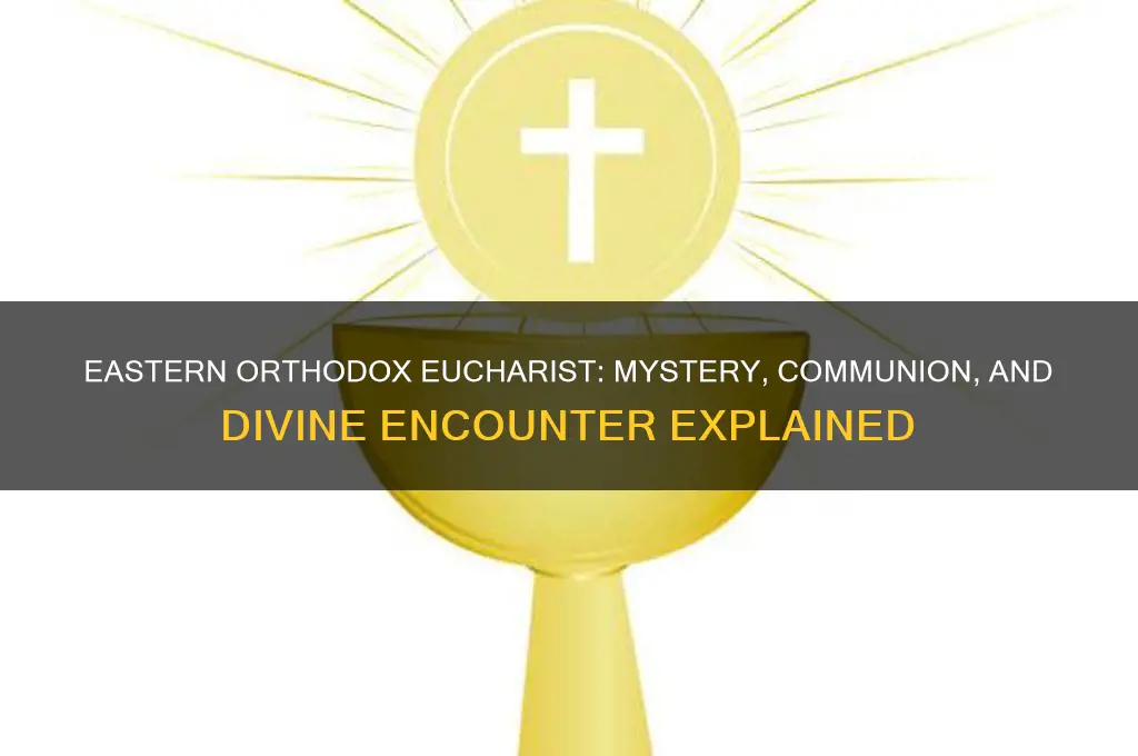 what do eastern orthodox believe about the eucharist