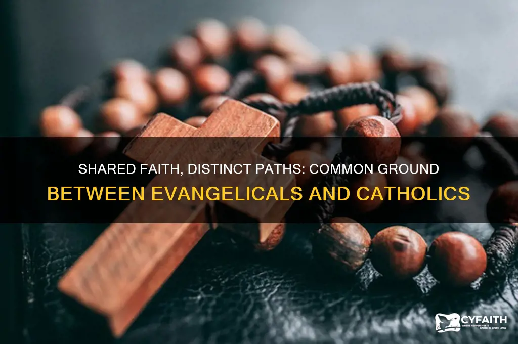 what do evangelicals and catholics have in common