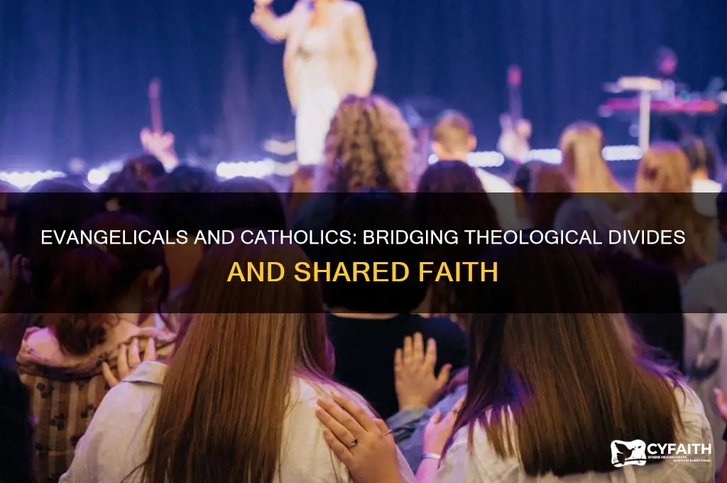 what do evangelicals think about catholics