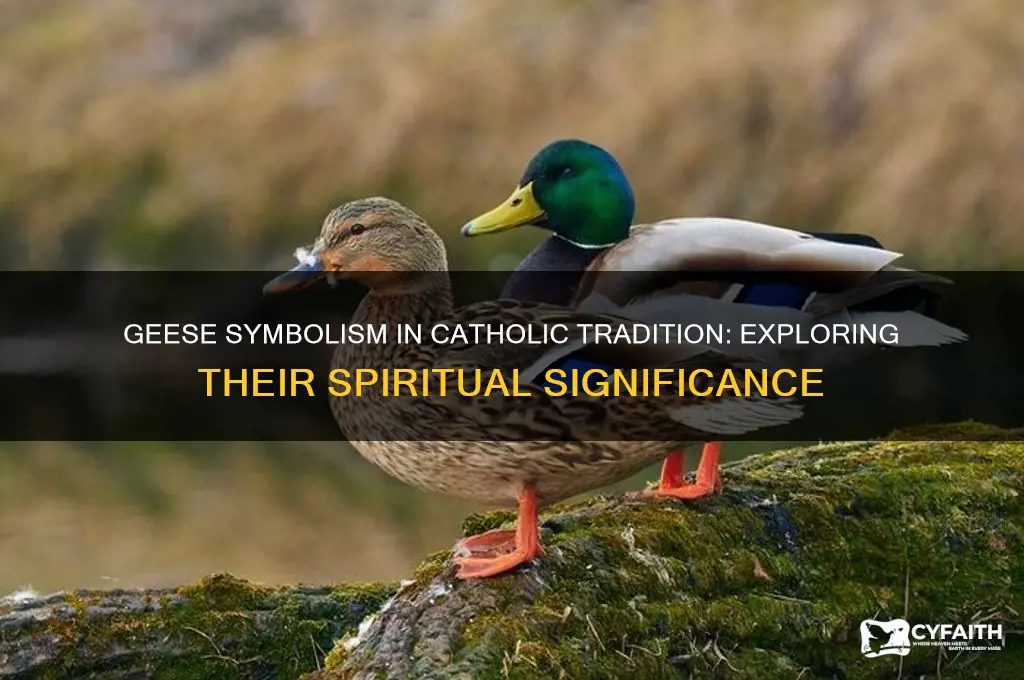 what do geese represent in catholic