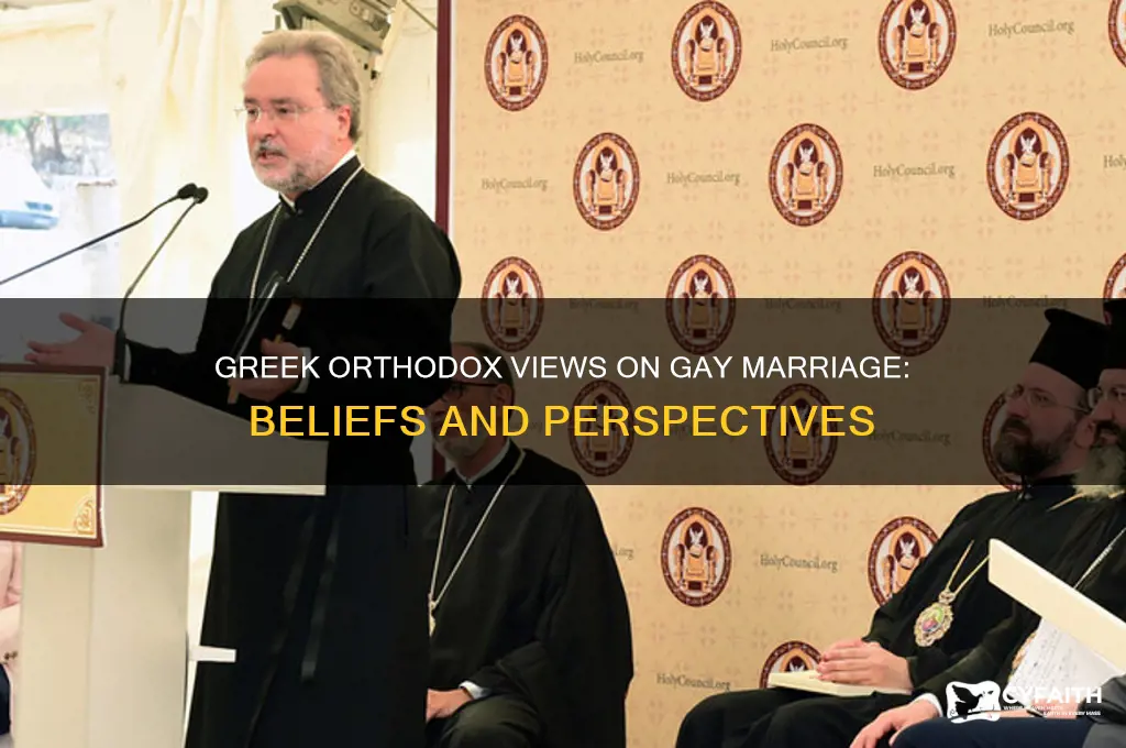 what do greek orthodox believe about gay marriage