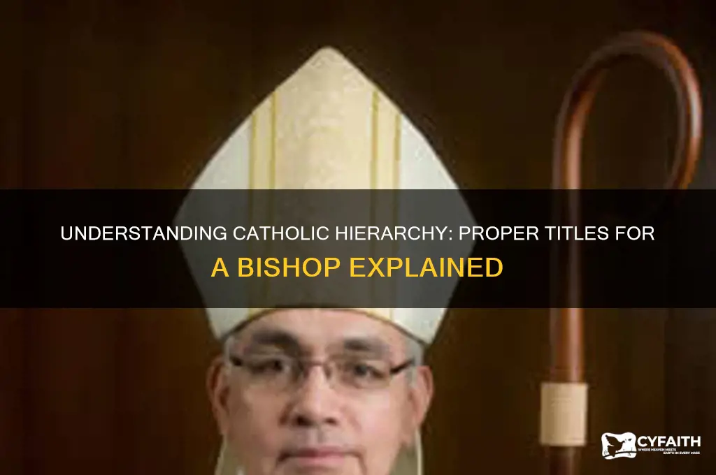 what do i call a catholic bishop