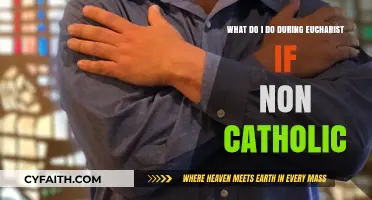 Non-Catholic at Mass: Understanding Your Role During the Eucharist