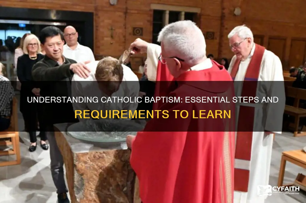 what do i need to learn catholic baptise