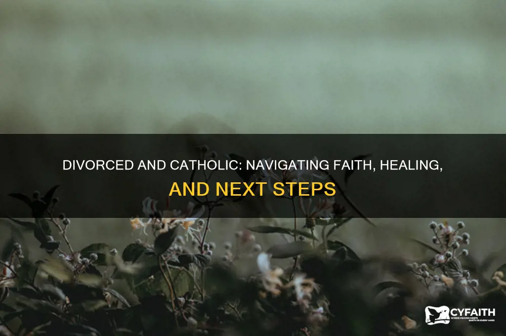 what do i need when divorced and catholic