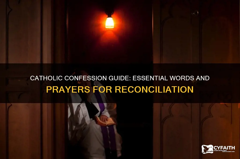 what do i say during catholic confession