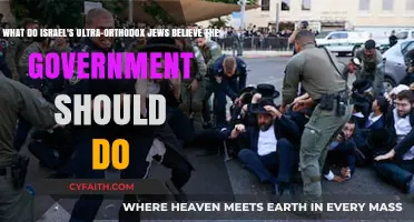 Israel's Ultra-Orthodox Jews: Their Expectations from the Government
