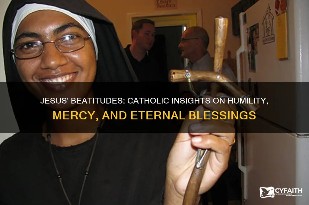 what do jesus teach us i the beatitudes catholic