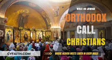 Understanding the Orthodox Jewish Terminology for Christians: A Cultural Insight