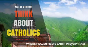 Methodist Perspectives on Catholic Beliefs and Practices Explored