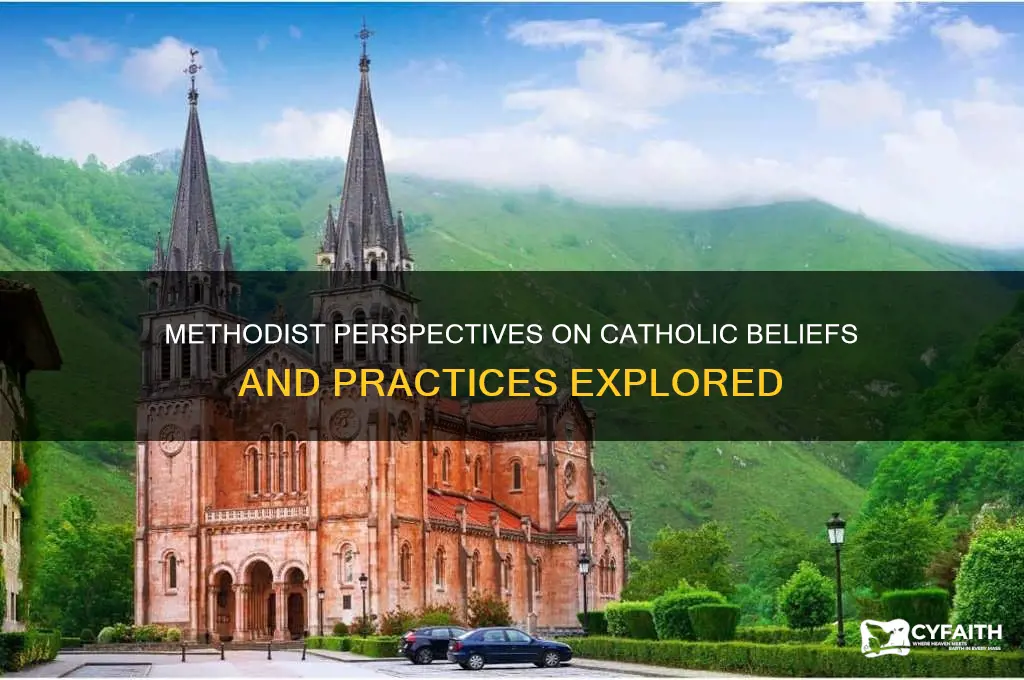 what do methodist think about catholics