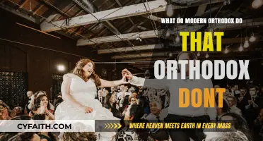 Modern Orthodox vs. Orthodox: Key Practices and Lifestyle Differences Explained