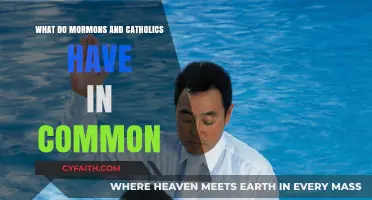 Shared Beliefs: Exploring Common Ground Between Mormons and Catholics
