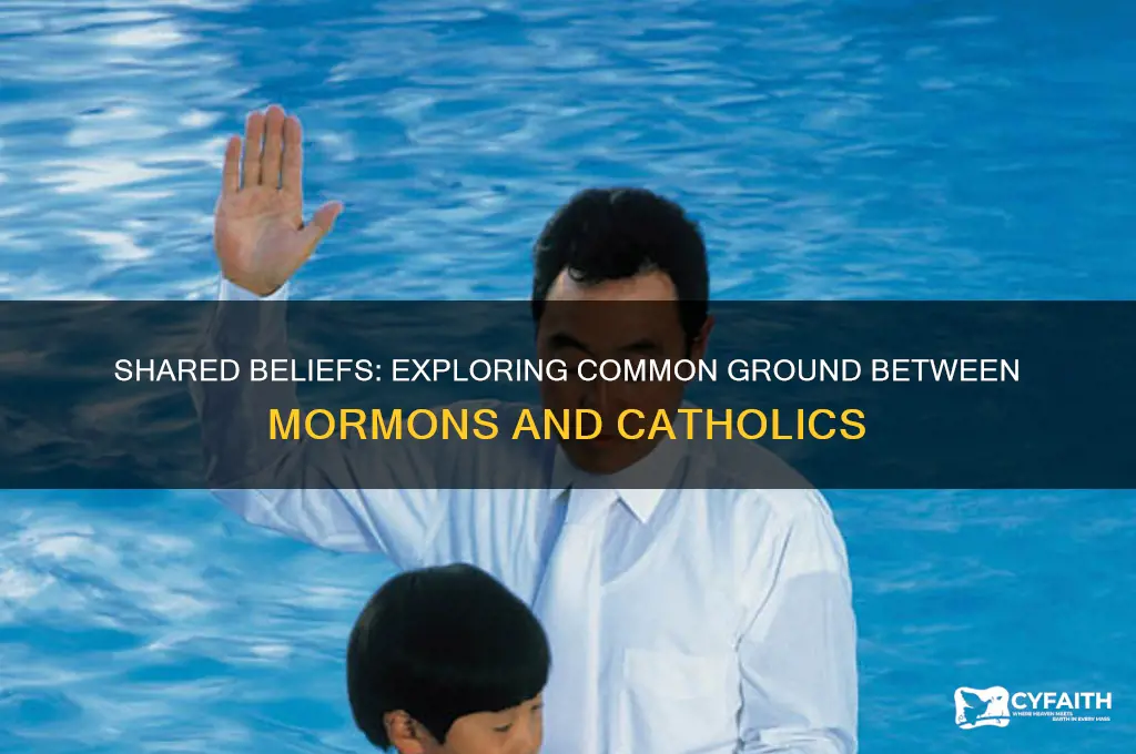 what do mormons and catholics have in common