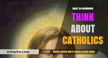 Mormons and Catholics: What Are the Mormon Beliefs?