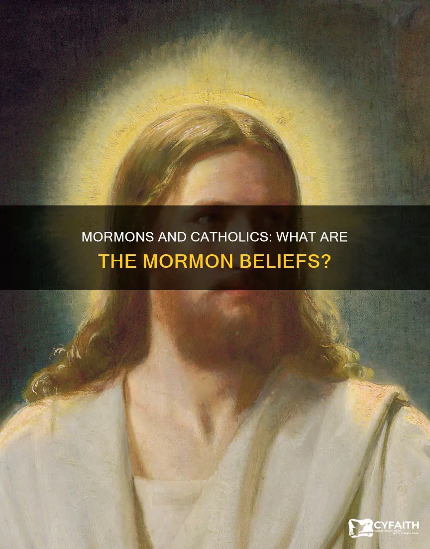 what do mormons think about catholics