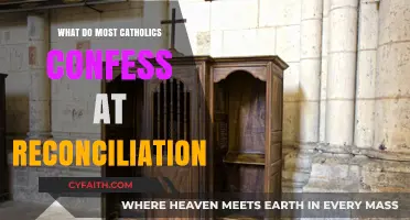 Common Catholic Confessions: What Believers Share at Reconciliation
