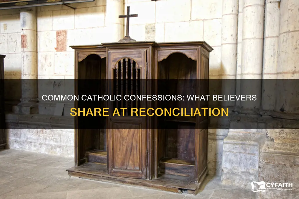 what do most catholics confess at reconciliation