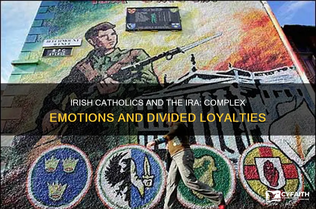 what do most catholics in ireland feel about the ira