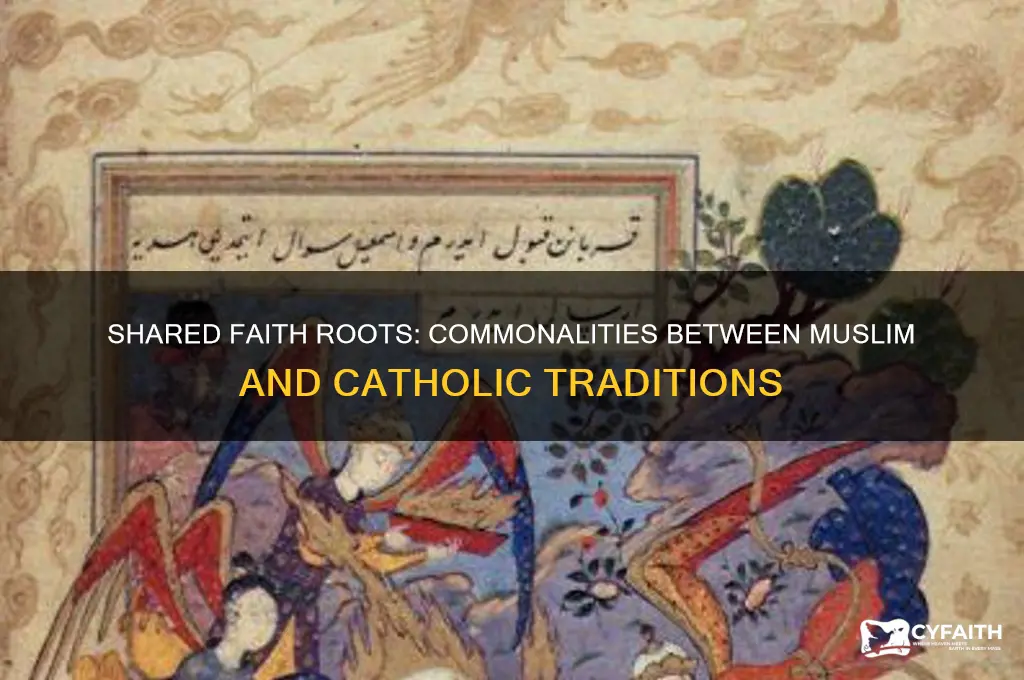 what do muslims and catholics have in common