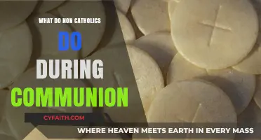 Non-Catholic Practices During Communion: Understanding Alternative Traditions