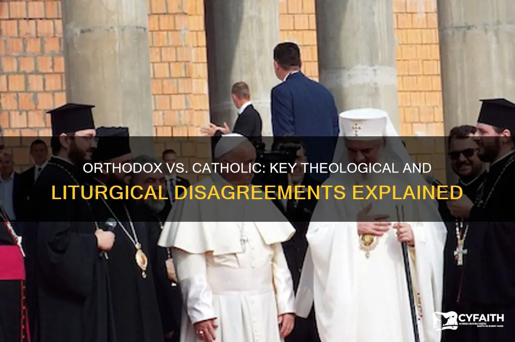 what do orthodox and catholics disagree on
